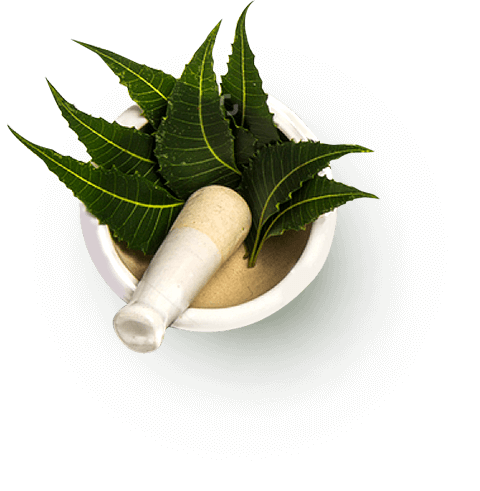 Ayurvedic Treatment
